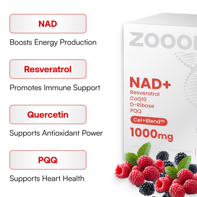 NAD+ Berry Sticks